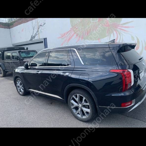 팰리세이드 급 처분합니다!!