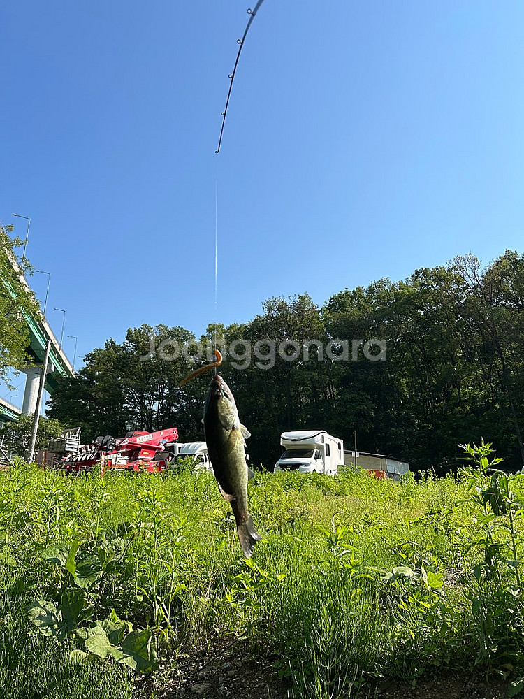 5.28일 한화 엘지전 1루 네이비석 2연석 구합니다--0
