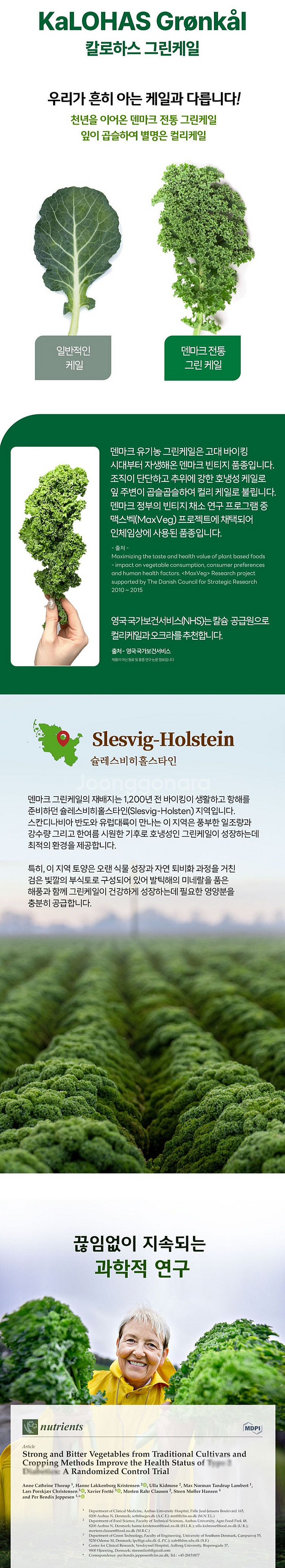 [칼로하스] 덴마크 유기농 그린케일 24포--4