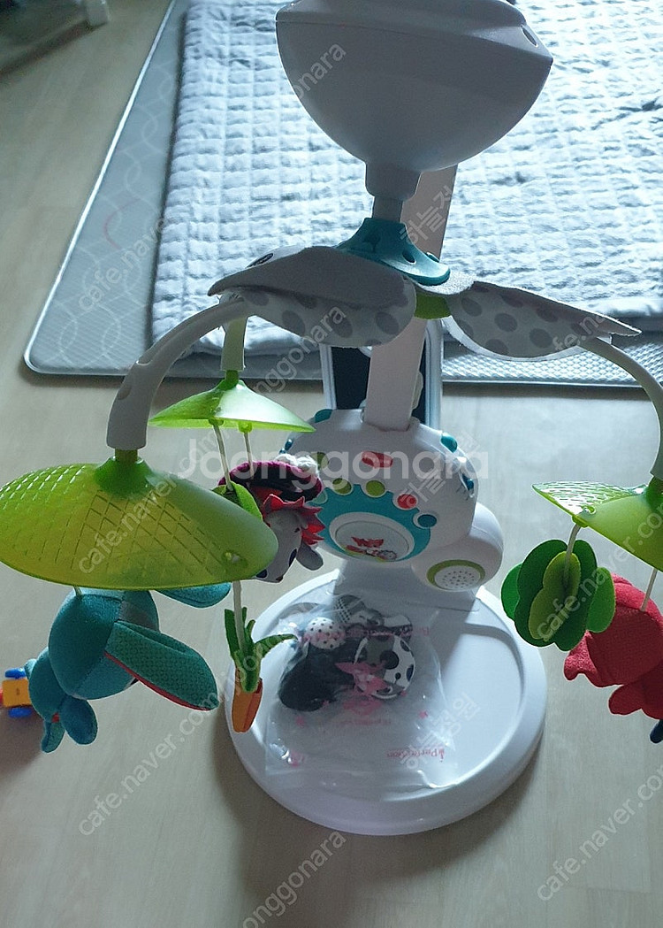 타니이러브 모빌(택포)--0