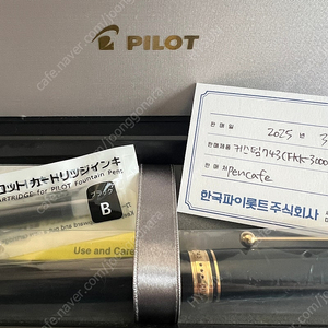 파이롯트 커스텀 743 SFM 만년필 팔아요! 거의새것