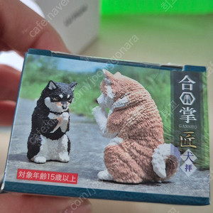 YELL 합장 강아지 캡슐토이 가챠