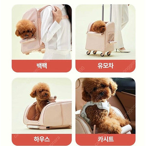 강아지 고양이 이동가방 아르르 고잉백 m사이즈 (연핑크)