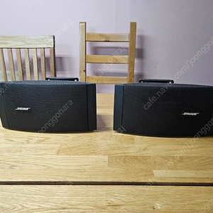 보스 BOSE 스피커 DS16
