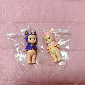 소니엔젤 2014년 핼러윈&2017년 발렌타인 고양이