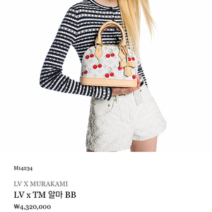 루이비통 LV x TM