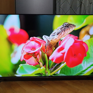 50인치 티비 모니터 UHD TV 4K 안드로이드 티비 구글 티비 HDR 양천구