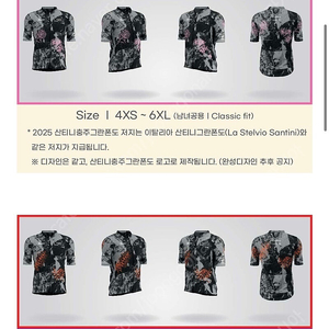 산티니 충주 그란폰도 메디오 2명분 양도합니다 져지 L,XL 사이즈