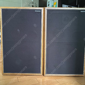 American Acoustics / D4550E 빈티지 스피커