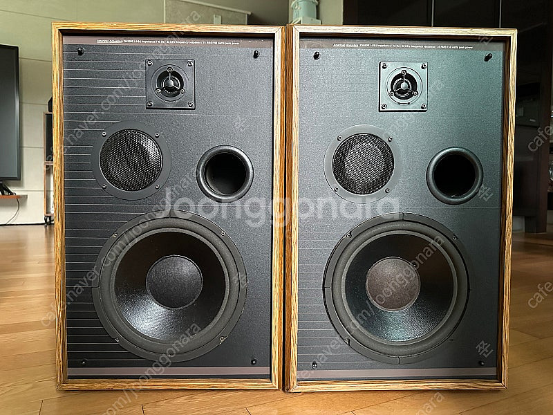 American Acoustics / D4550E 빈티...--1