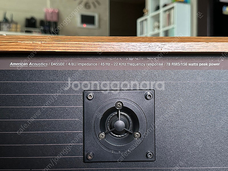 American Acoustics / D4550E 빈티...--4