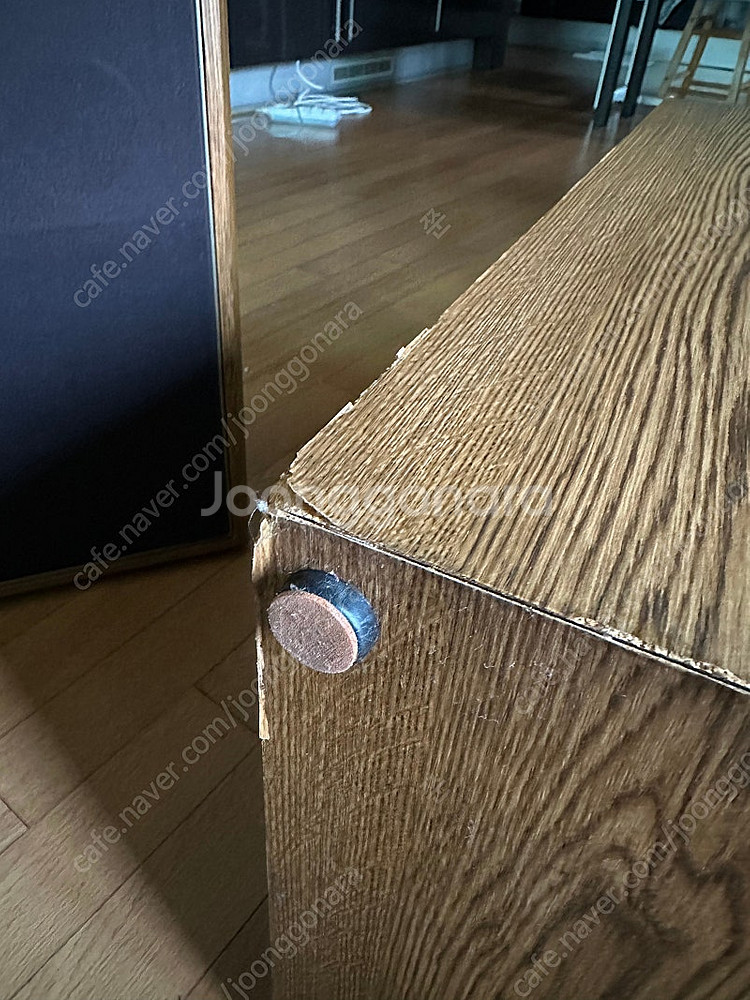 American Acoustics / D4550E 빈티...--9