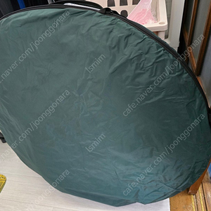 식물 미니비닐하우스