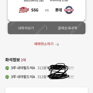 6/1 일 사직야구장 롯데vs ssg 2연석