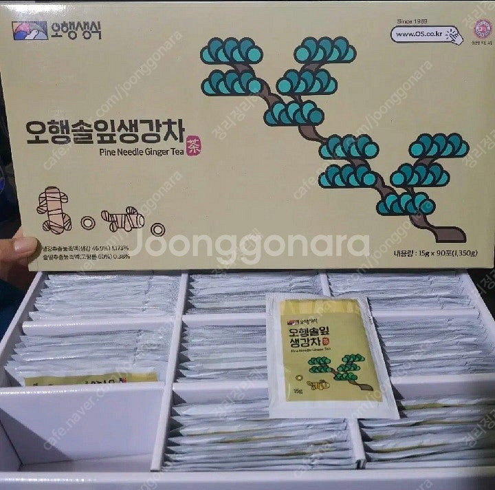 오향솔잎생강차--0