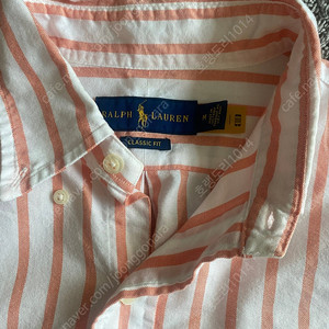 폴로 옥스포드 남방 M 코랄 스트라이프
