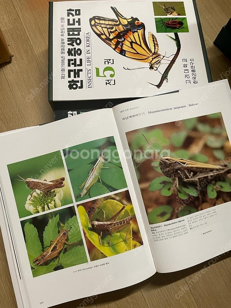 한국곤충생태도감(고려대학교 한국곤충연구소)--4