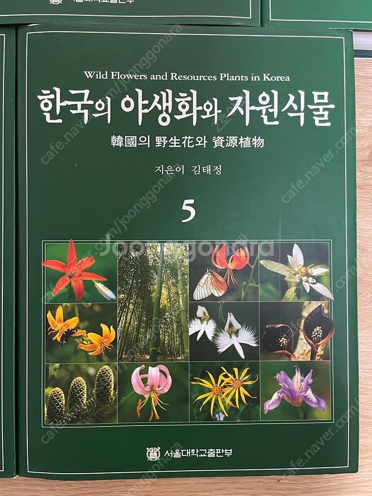 한국의 야생화와 자원식물(식물도감) 서울대학교출판--4