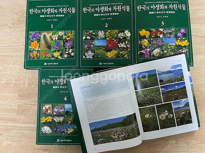 한국의 야생화와 자원식물(식물도감) 서울대학교출판--6