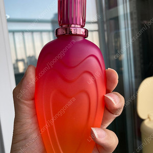 에스까다 트로피컬 펀치 edt 100ml 향수 판매합니다