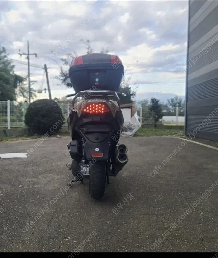 대림 빅스쿠터 Q2 125cc 이미지