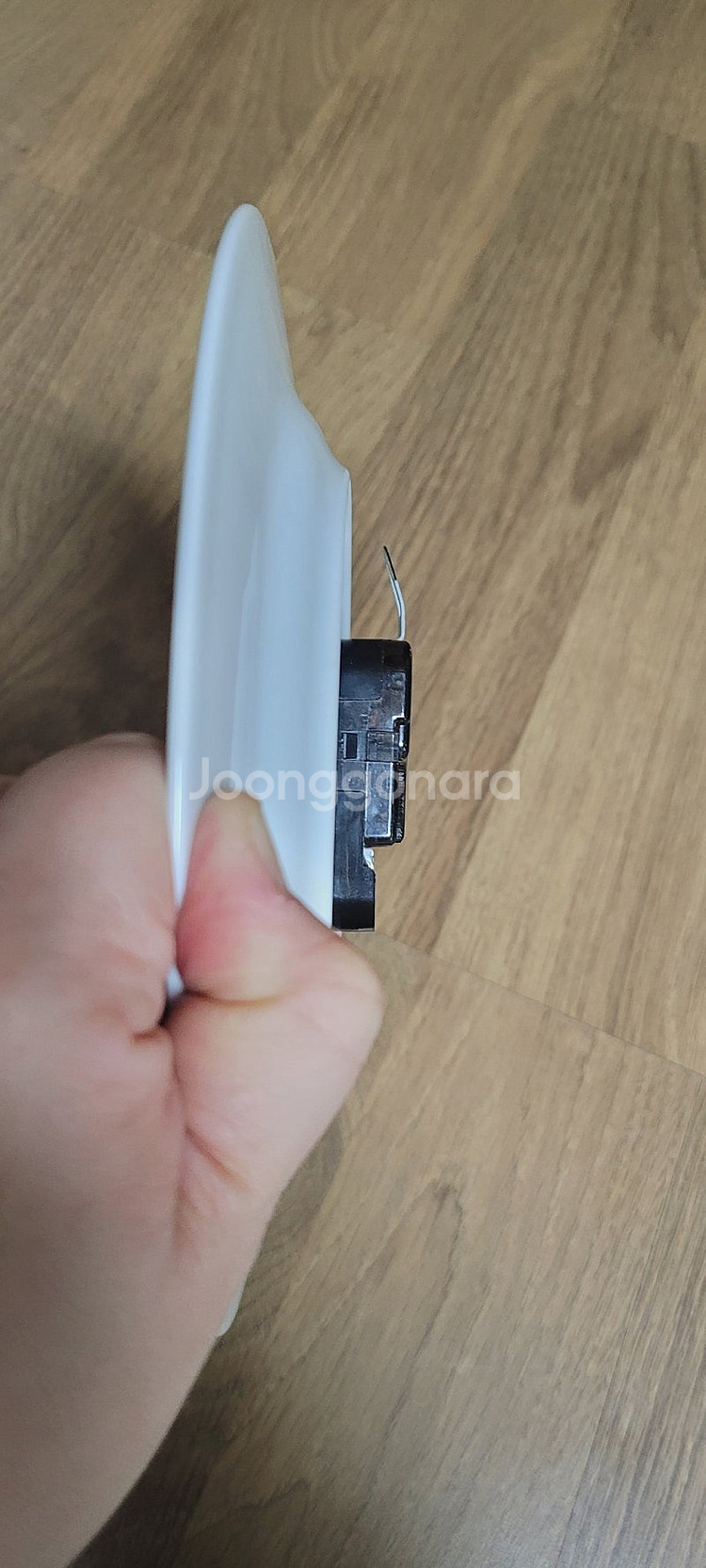 올드빈티지 단종품. 영국 로얄우스터 애플 블라썸 요정 ...--7