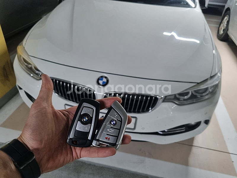 BMW 1/3/4/5/6/7시리즈, X3, X5, X7...--1