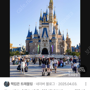 도쿄 디즈니랜드 티켓 2매