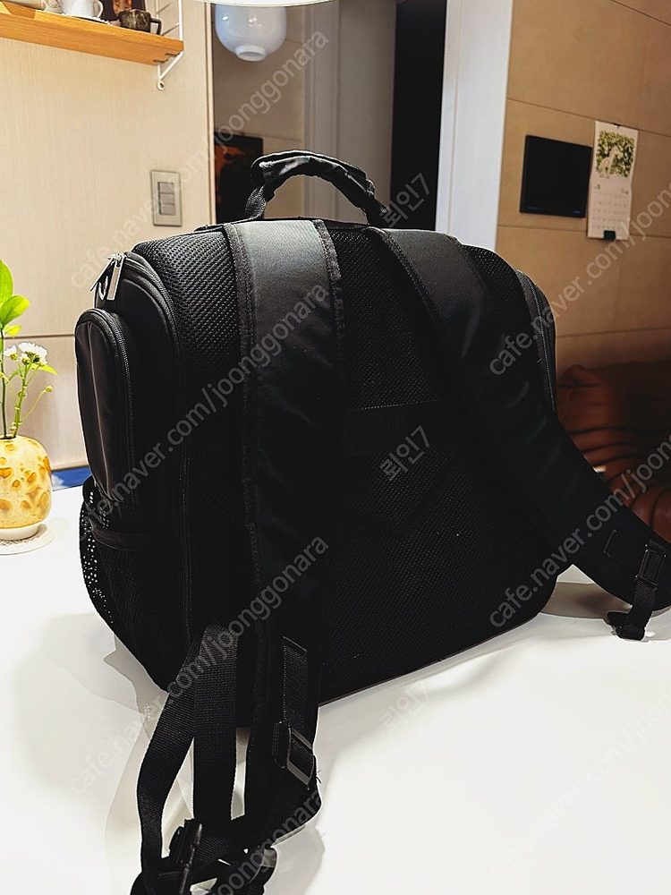 모드니펫 백팩 이동가방(M사이즈)--2