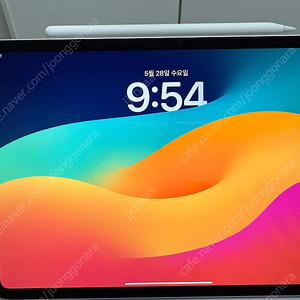 아이패드 M4 11인치 256gb 실버 셀룰러+애플펜슬 프로 팝니다.