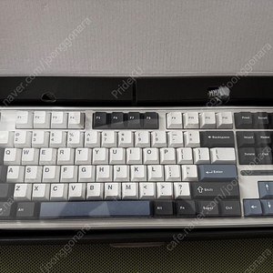 AULA 독거미 F87 Pro 황축 V3