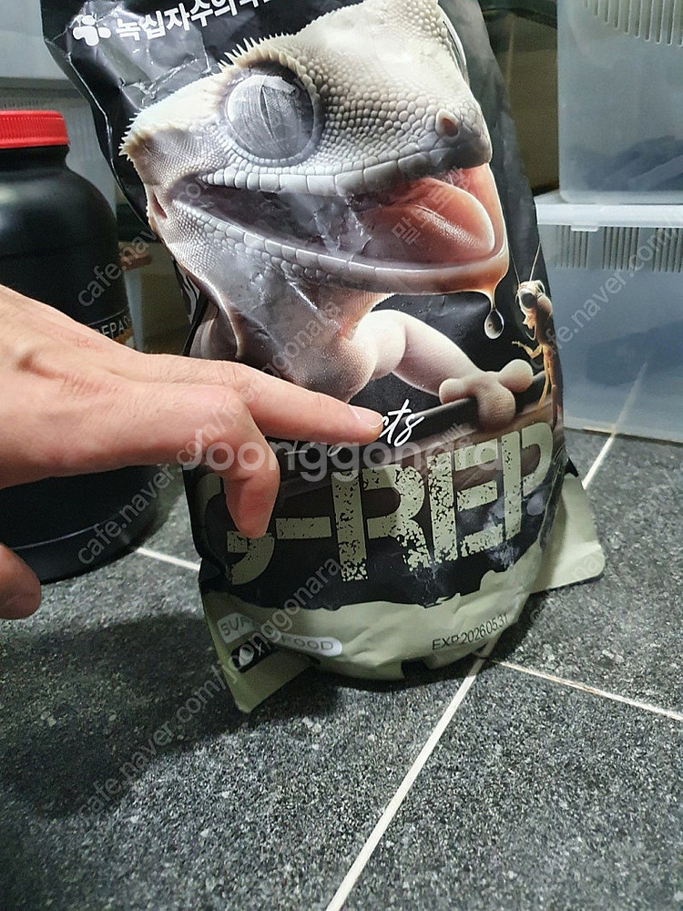 크레스티드게코 사육장 jif 레파즈 락사 등 사육통 및 슈퍼해치 파충류부화기 슈퍼푸드 수태 일괄 판매합니다.--2