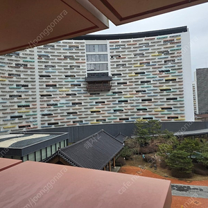 [삽니다] 6월 14일 부여 롯데리조트 숙박 구합니다