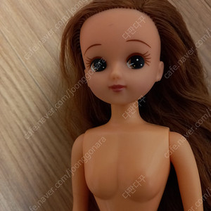 리카인형