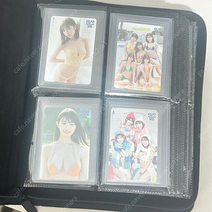 그라비아 아이돌 키쿠치 히나 쿠오카드