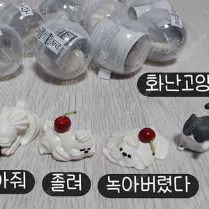 휘핑 멍멍이(강아지) 화난 고양이 가챠