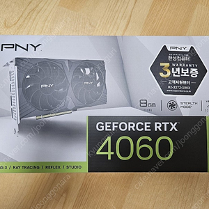 pny rtx 4060