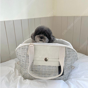 바이더펫츠 라떼백 강아지 이동가방