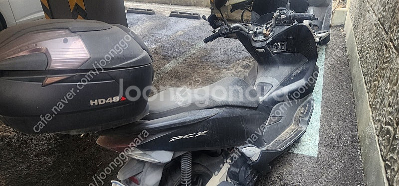 pcx125 20년식 11000~12000키로 팝니다--0