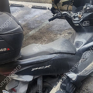 pcx125 20년식 11000~12000키로 팝니다