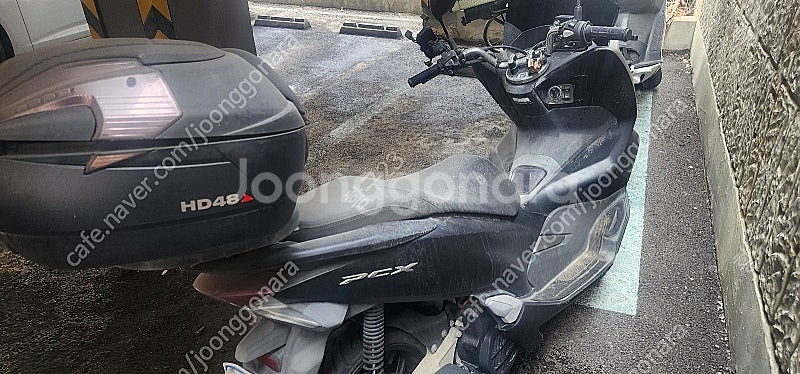pcx125 20년식 11000~12000키로 팝니다--3