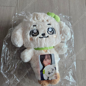 아이브 미니브 강안지 플러피 플러시 30cm(미개봉)