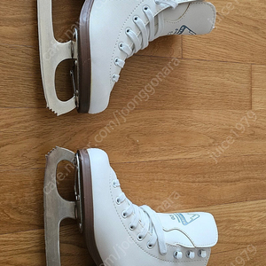 잭슨 피겨스케이트 GLACIER 120MM