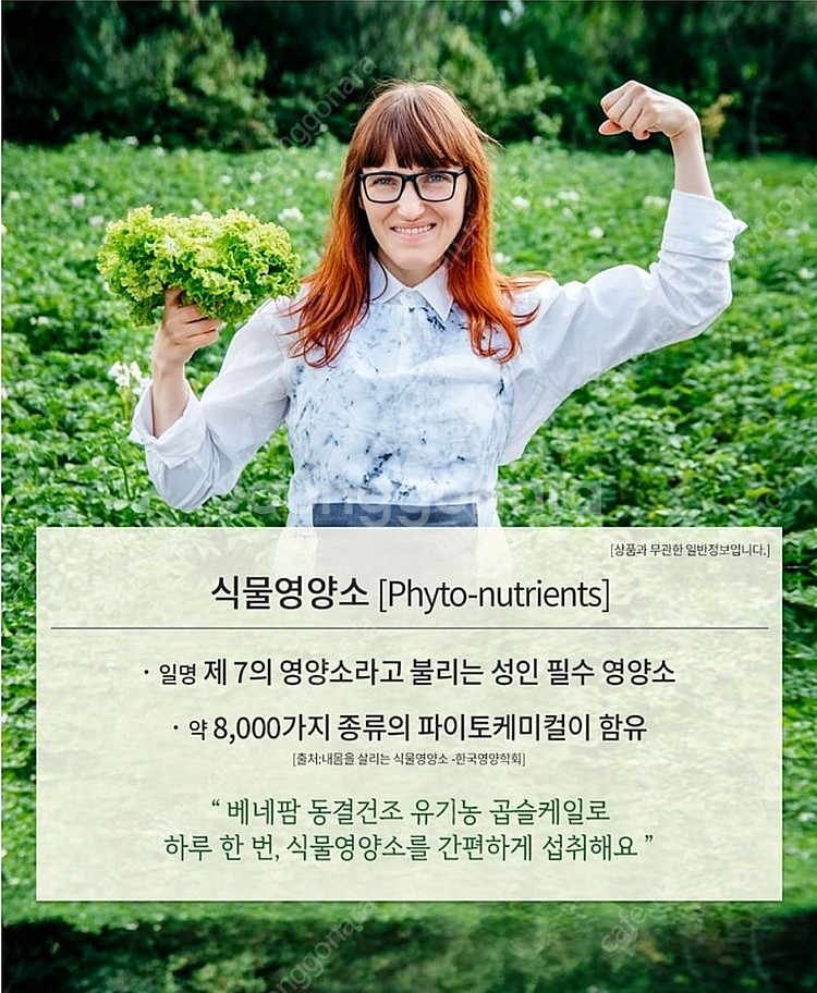 베네팜 유기농 컬리(곱슬)케일 100% 분말 1박스--2