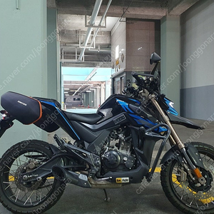 존테스 23년식 U1판매 부산