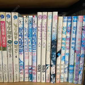 이미라만화 남성해방대작전, 사랑입니까?, 선녀파이팅