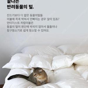 클래식패브릭 알러지케어 차렵이불 슈퍼싱글 (새상품)