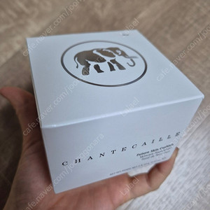 샹테카이 퓨처 스킨 쿠션 아우라 새상품