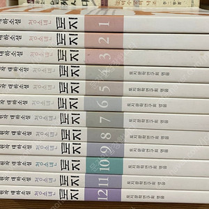 청소년 토지 (전12권)