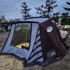 위드몽 차박 텐트 중형 팝니다
